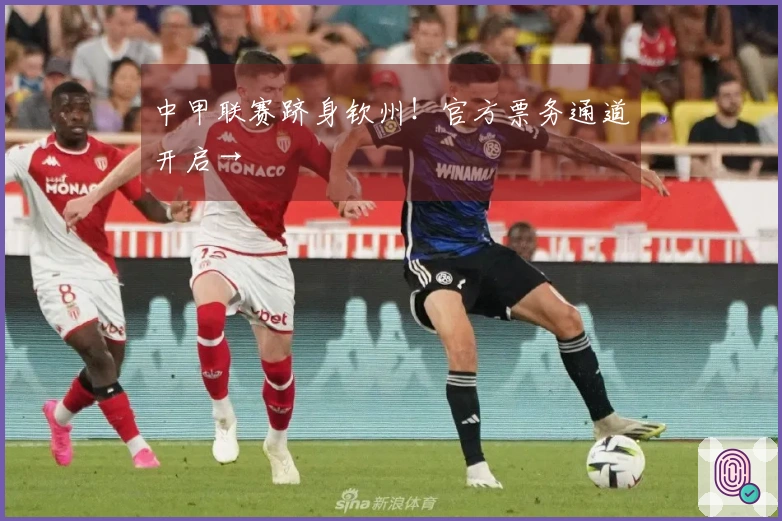 中甲联赛跻身钦州！官方票务通道开启→