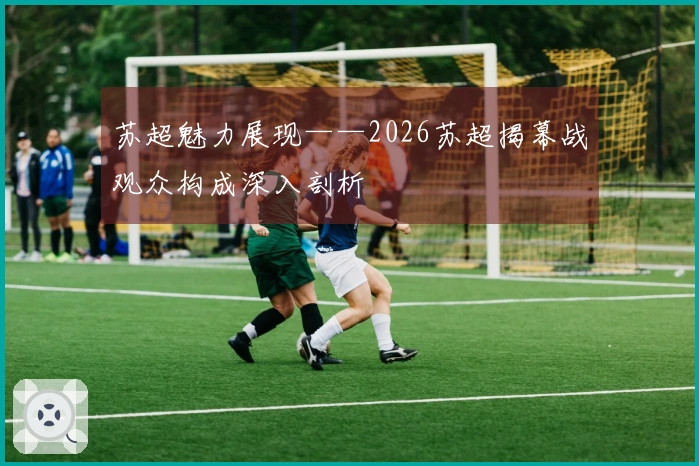 苏超魅力展现——2026苏超揭幕战观众构成深入剖析