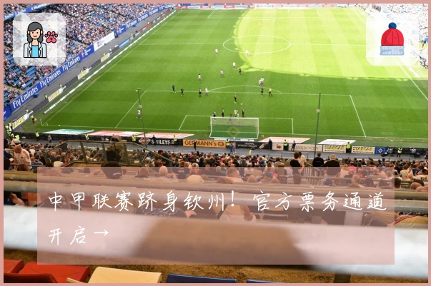 中甲联赛跻身钦州！官方票务通道开启→