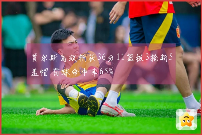 贾尔斯高效斩获36分11篮板3抢断5盖帽 罚球命中率65%